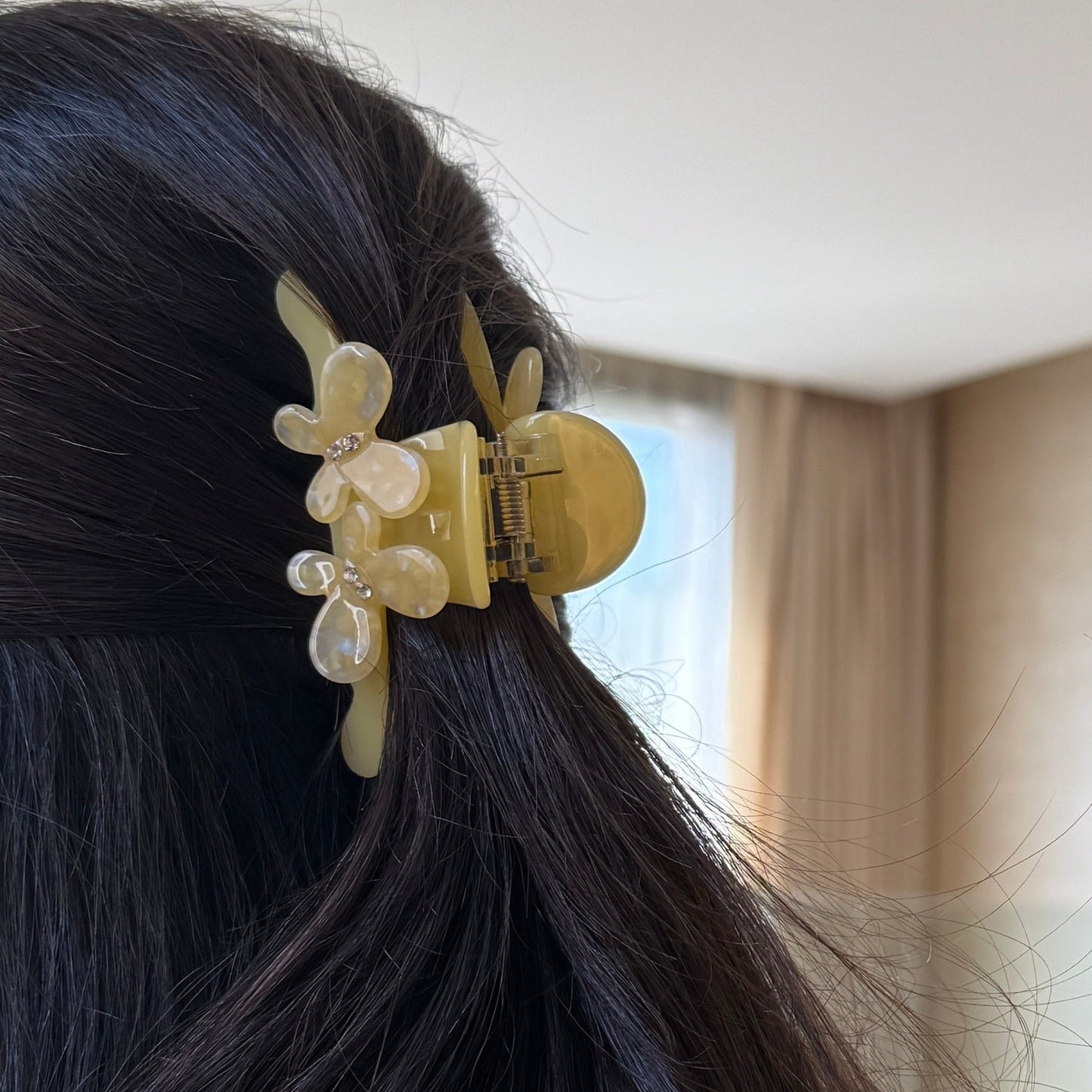 Ombre Claw Hair Clip