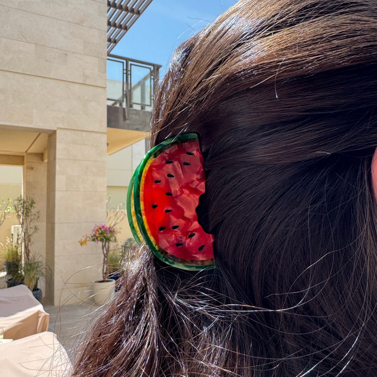 Watermelon Hair Clip
